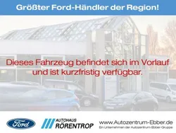 Metallic) (grau Gebraucht 2019 Ford Transit Limited Van | 12.275 € (Fairer Preis)