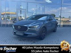 Grau Gebraucht 2024 Mazda CX-30 Homura-Line SUV | 28.590 €