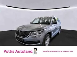Grau Gebraucht 2021 Skoda Kodiaq Ambition SUV | 27.443 € (Guter Preis)