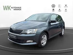 Grau Gebraucht 2017 Skoda Fabia Ambition Limousine | 10.390 € (Guter Preis)