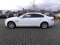 Weiß Gebraucht 2019 Jaguar XF Pure Limousine | 22.800 € (Etwas zu teuer)