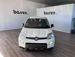 Gelato weiss Neu 2024 Fiat Panda Kleinwagen | 14.990 € (Fairer Preis)