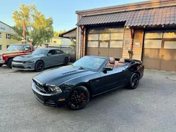 Schwarz Gebraucht 2013 Ford V8 Coupé | 29.900 €