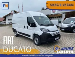 Weiß Neu 2024 Fiat Ducato Van | 31.928 € (Guter Preis)