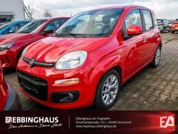 Rot Gebraucht 2017 Fiat Panda Lounge Kleinwagen | 9.990 € (Etwas zu teuer)