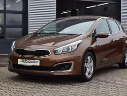 Braun Gebraucht 2016 Kia Ceed Vision Limousine | 8.590 € (Fairer Preis)