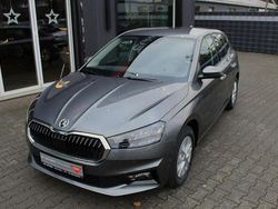 Grau Neu 2025 Skoda Fabia Selection Limousine | 18.490 € (Guter Preis)