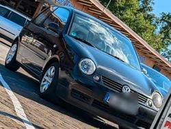 Schwarz Gebraucht 2002 VW Lupo Kleinwagen | 1.350 € (Fairer Preis)
