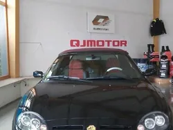 Schwarz Gebraucht 2004 MG TF Cabrio | 8.990 € (Teuer)
