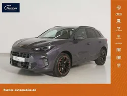 Violett Gebraucht 2024 Cupra Terramar VZ SUV | 46.980 € (Guter Preis)