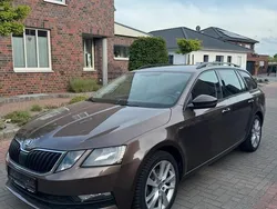Braun Gebraucht 2018 Skoda Octavia Kombi | 10.500 € (Guter Preis)
