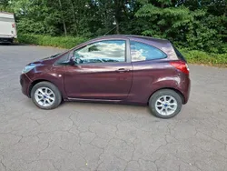 Braun Gebraucht 2015 Ford Ka Kleinwagen | 3.300 € (Superpreis)