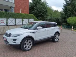 Weiß Gebraucht 2013 Land Rover Range Rover evoque Pure SUV | 12.999 € (Guter Preis)