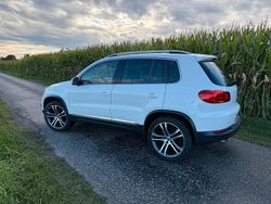 Weiß Gebraucht 2012 VW Tiguan SUV | 8.800 € (Fairer Preis)