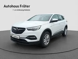 Weiß Gebraucht 2019 Opel Grandland X Elegance SUV | 15.480 € (Guter Preis)