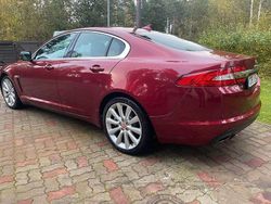 Rot Gebraucht 2014 Jaguar XF Limousine | 14.800 €