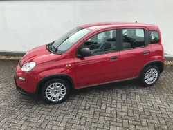 Rot Neu 2024 Fiat Panda Kleinwagen | 13.990 € (Fairer Preis)