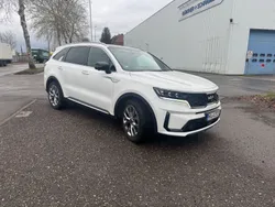 Weiß Gebraucht 2023 Kia Sorento Platinum SUV | 44.625 € (Fairer Preis)