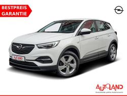 Jade weiss Gebraucht 2018 Opel Grandland X Edition SUV | 17.950 € (Etwas zu teuer)