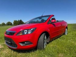 Rot Gebraucht 2008 Ford Focus Cabriolet Titanium Cabrio | 4.999 € (Fairer Preis)