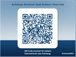Andere farbe Gebraucht 2021 Opel Zafira Life Edition Van | 35.290 € (Etwas zu teuer)
