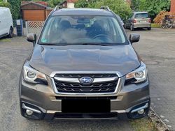 Braun Gebraucht 2016 Subaru Forester Exclusive+ SUV | 8.600 € (Teuer)
