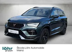"camouflage" grün Gebraucht 2023 Cupra Ateca VZ SUV | 34.330 € (Guter Preis)