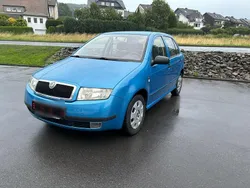 Blau Gebraucht 2001 Skoda Fabia Kleinwagen | 2.350 € (Teuer)