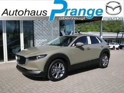 Zircon sand Neu 2025 Mazda CX-30 Exclusive-Line SUV | 31.985 €