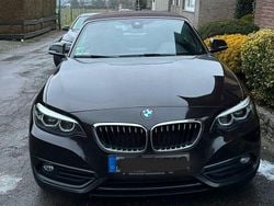 Braun Gebraucht 2018 BMW 218 Sport Line Cabrio | 12.200 € (Superpreis)