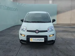 Weiß Neu 2024 Fiat Panda Kleinwagen | 12.499 €
