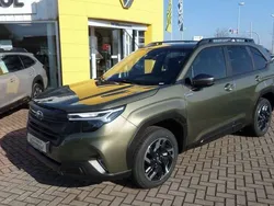 Autumn green Neu 2025 Subaru Forester Exclusive+ SUV | 45.519 € (Fairer Preis)