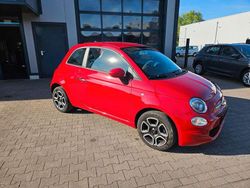 Rosso officina Gebraucht 2022 Fiat 500 Club Kleinwagen | 10.990 € (Guter Preis)