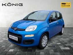 Blau Gebraucht 2025 Fiat Panda Kleinwagen | 14.289 € (Guter Preis)