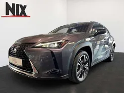 Obsidiangrau Gebraucht 2023 Lexus UX 250h SUV | 33.850 € (Etwas zu teuer)