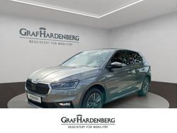 Grau Neu 2025 Skoda Fabia Tour Kleinwagen | 28.490 € (Teuer)