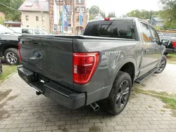 Grau Gebraucht 2021 Ford F-150 Sport Abholung | 63.080 € (Etwas zu teuer)