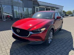 Neu 2025 Mazda CX-30 Center-Line SUV | 32.950 €