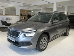 Graphitegrau metallic Neu 2024 Skoda Kamiq Tour SUV | 24.890 € (Guter Preis)