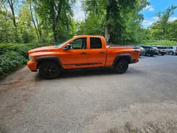 Orange Gebraucht 2002 Dodge Ram Abholung | 16.000 €