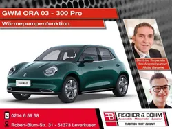 Grün Neu 2025 Ora 03 Limousine | 27.790 € (Fairer Preis)