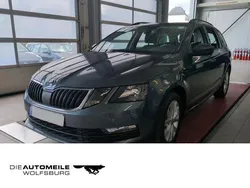 Grau Gebraucht 2020 Skoda Octavia Ambition Kombi | 17.290 € (Guter Preis)