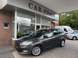 Grau Gebraucht 2015 Ford Grand C-Max Titanium Van / Kleinbus | 9.890 € (Fairer Preis)