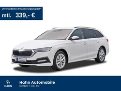 Candyweiss Gebraucht 2022 Skoda Octavia Ambition Kombi | 24.960 € (Guter Preis)