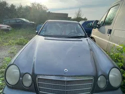 Grau Gebraucht 1998 Mercedes E200 Classic Limousine | 1.450 € (Guter Preis)