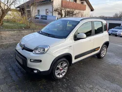 Weiß Gebraucht 2015 Fiat Panda 4x4 Kleinwagen | 7.900 € (Guter Preis)