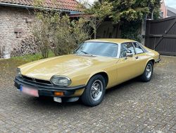Grün Gebraucht 1977 Jaguar XJS Coupé | 16.500 €