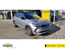 Silber Gebraucht 2023 Opel Grandland X Elegance SUV | 25.450 €