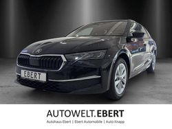 Schwarz Neu 2025 Skoda Octavia Selection Kombi | 39.280 € (Etwas zu teuer)