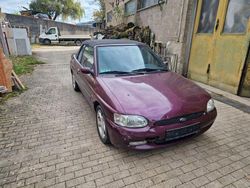 Violet Gebraucht 1995 Ford Escort Cabriolet Cabrio | 950 €